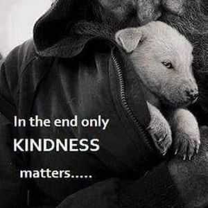 Meet your Posher, Suzanne